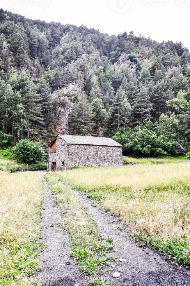 panoramico rurale paesaggio foto