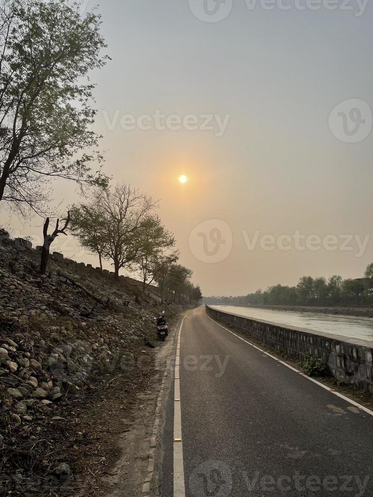 fiore natura uttarakhand foto