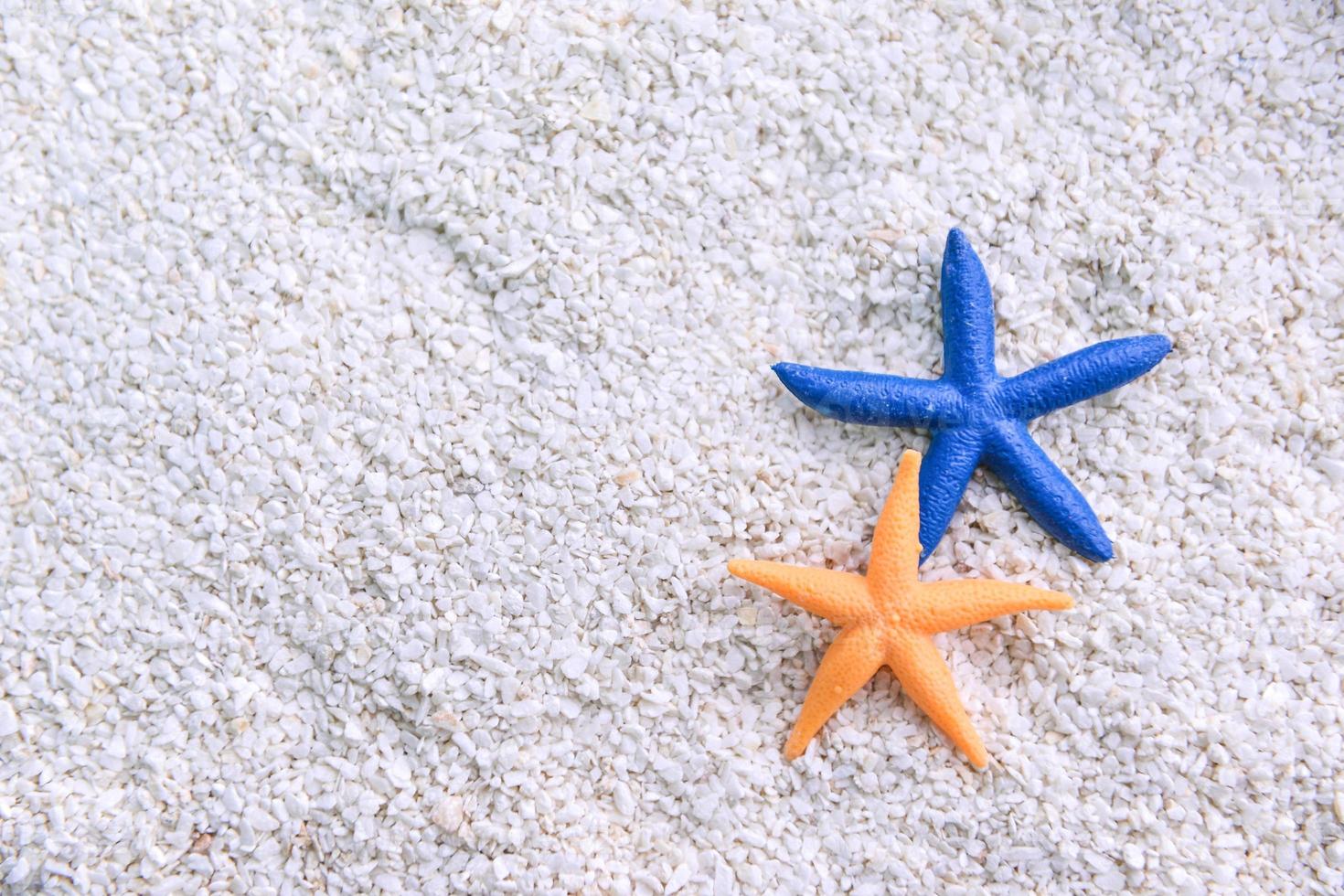 stella marina nel il spiaggia sabbia foto