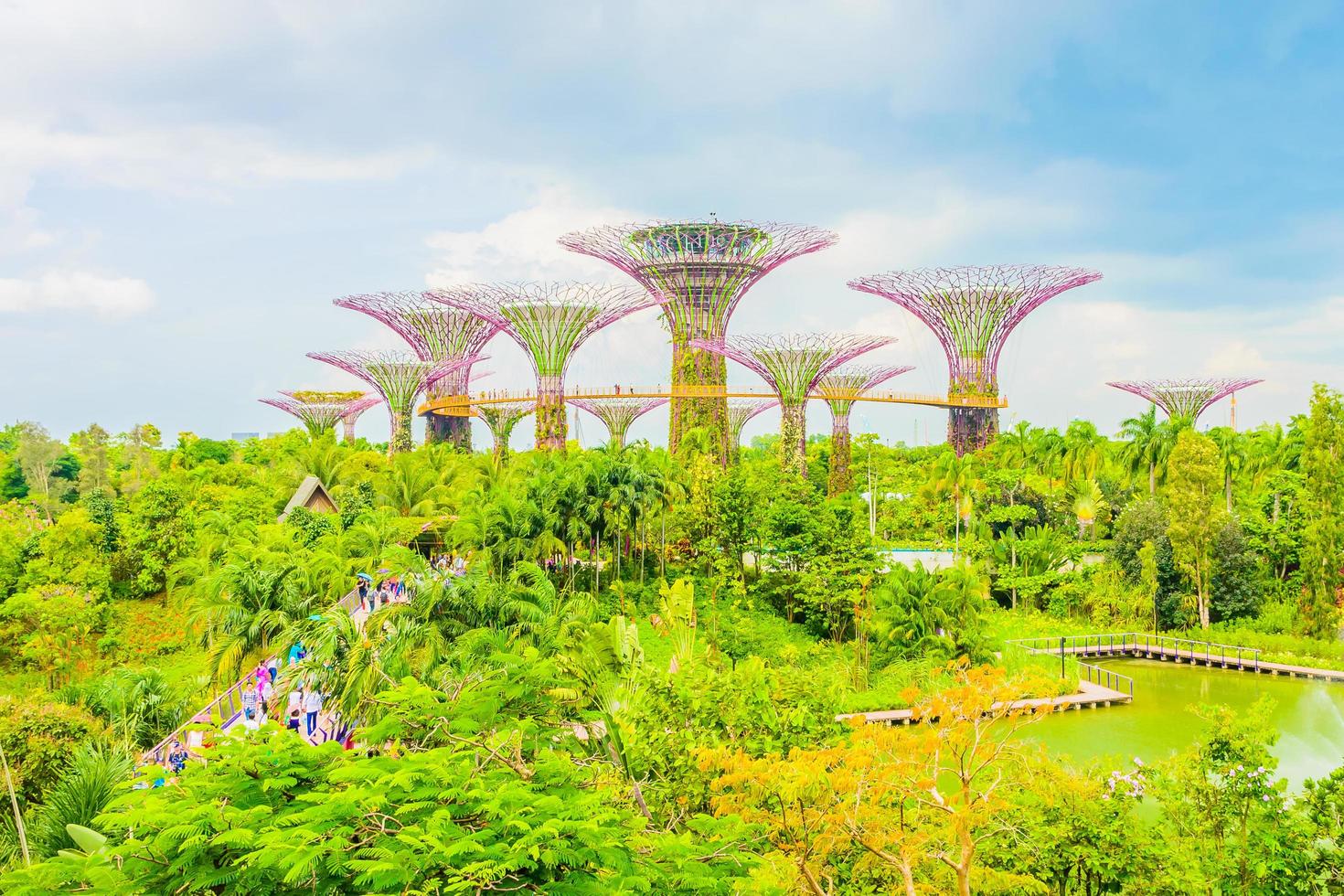 giardino della baia di singapore foto