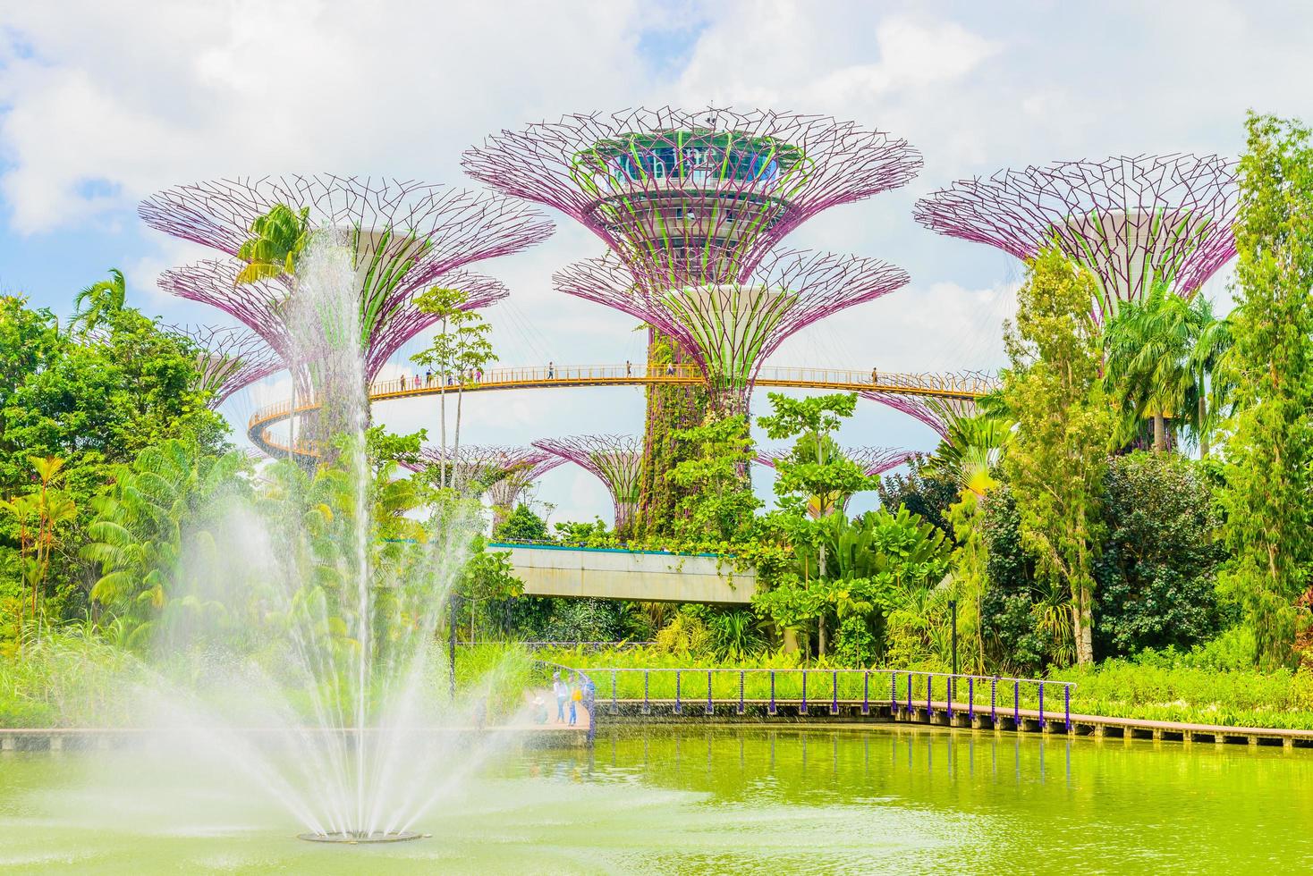 giardino della baia di singapore foto