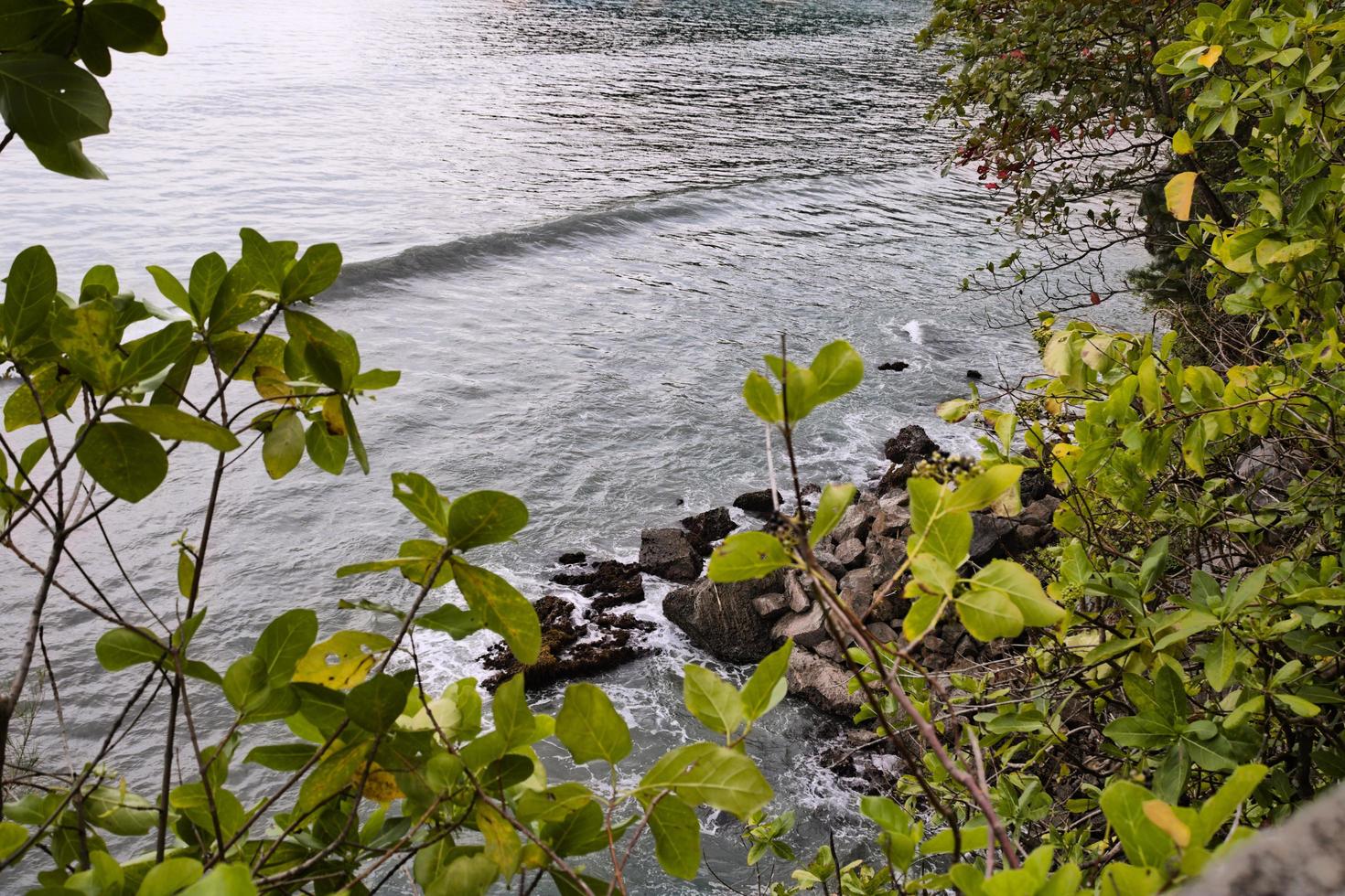 isola e mare. meridionale Aceh foto