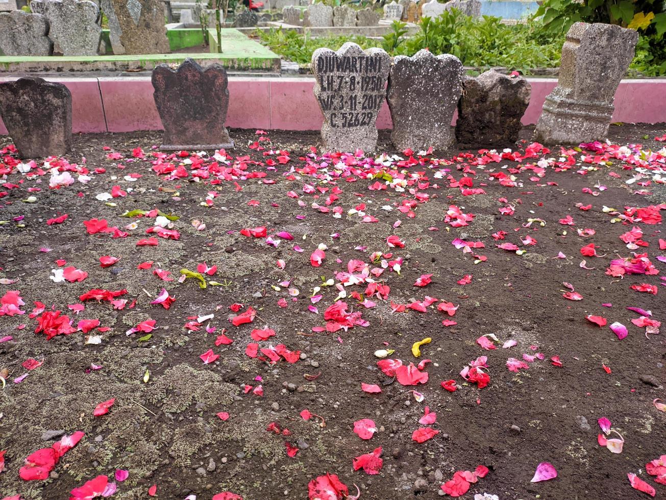 un' fiori cosparso su tombe foto