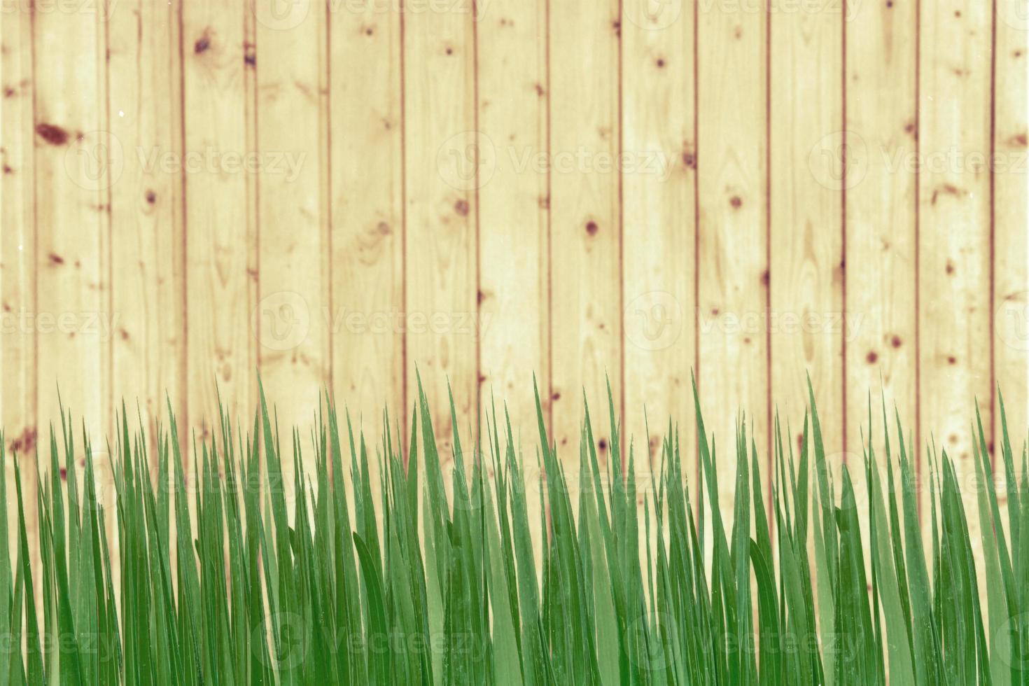 verde erba e di legno parete foto