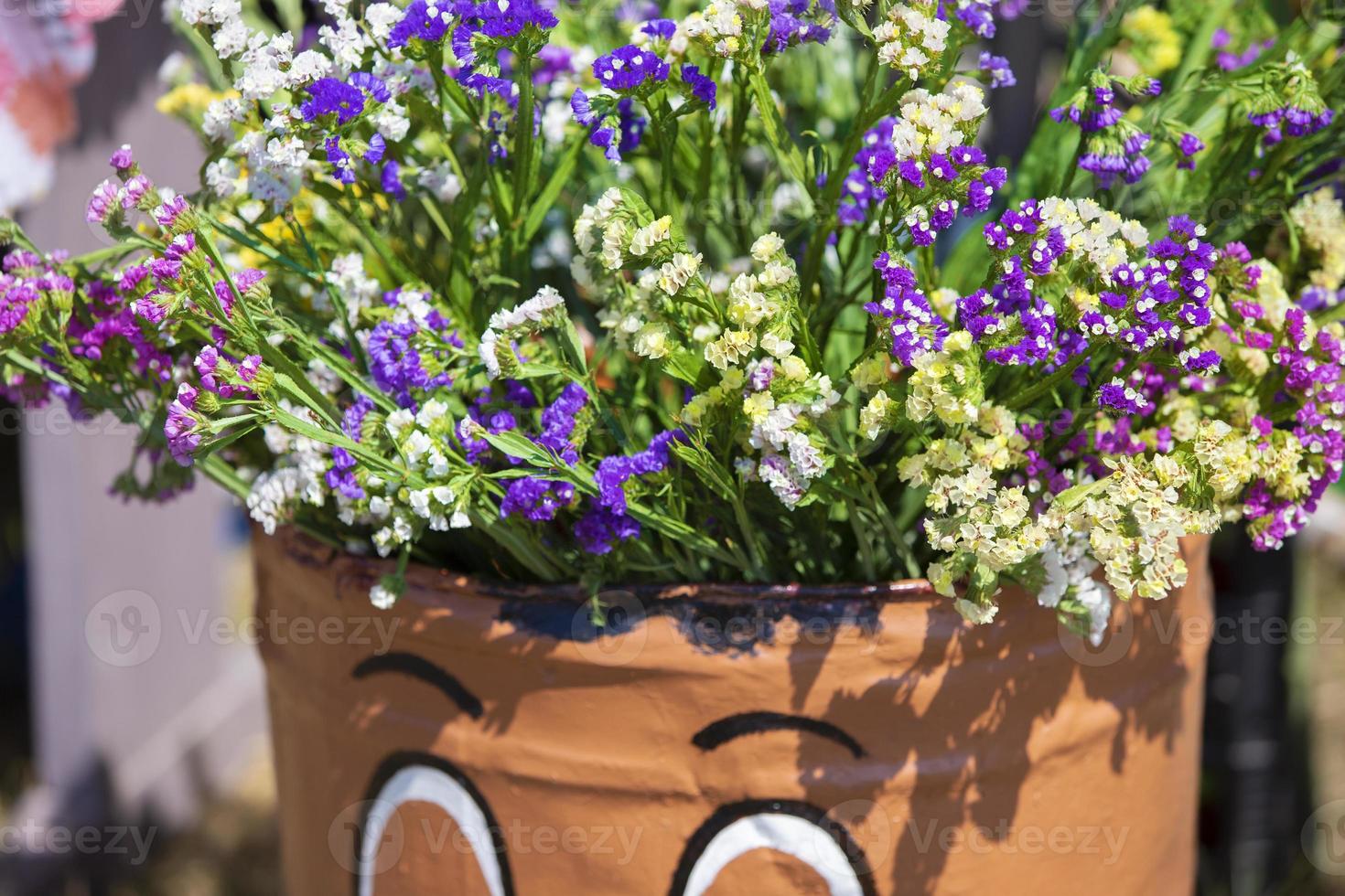 un' fiore pisello con piccolo blu e bianca fiori. foto