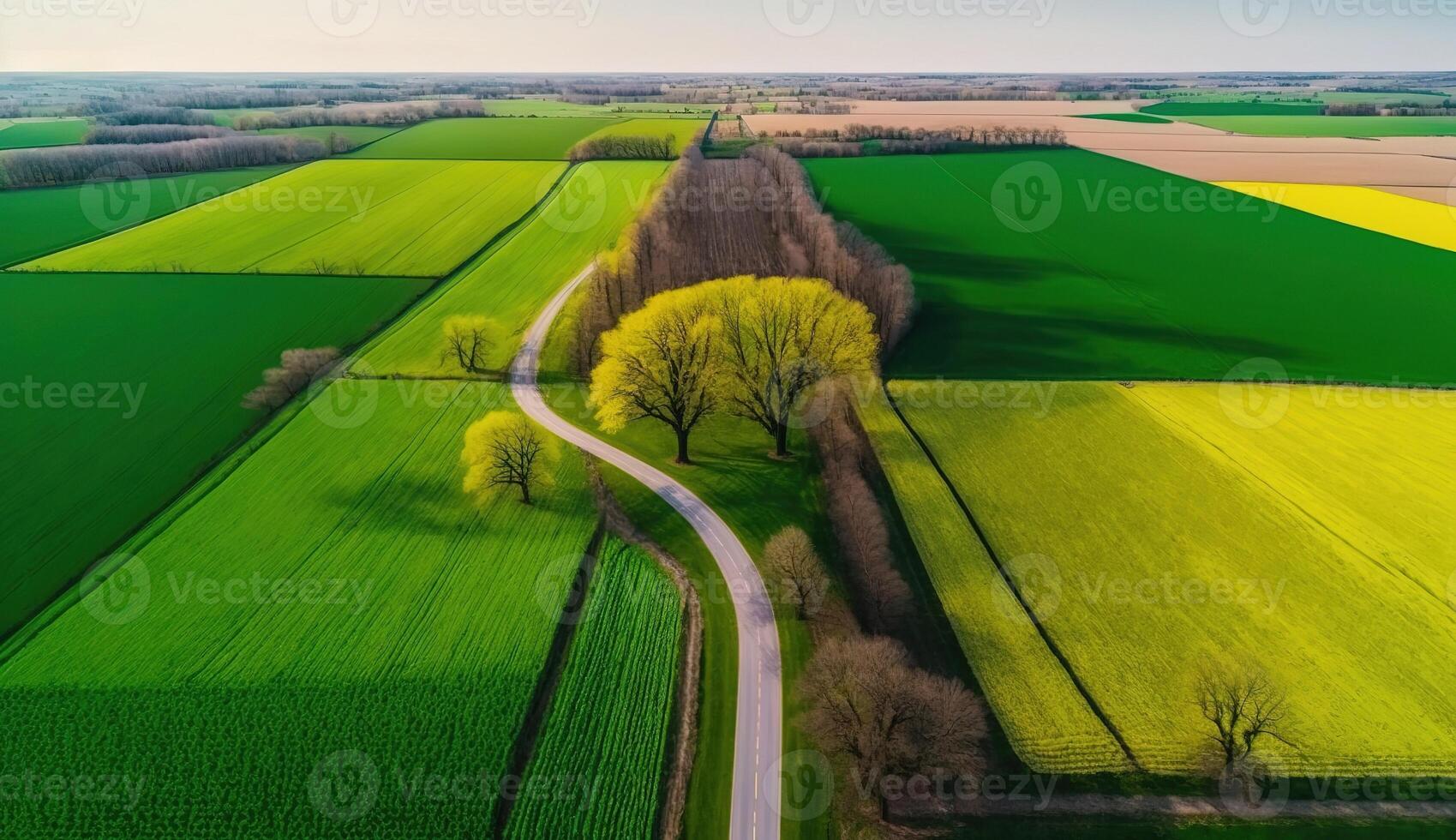 generativo ai, azienda agricola paesaggio, agricolo campi, bellissimo campagna, nazione strada. natura illustrazione, fotorealistico superiore Visualizza drone, orizzontale striscione. foto