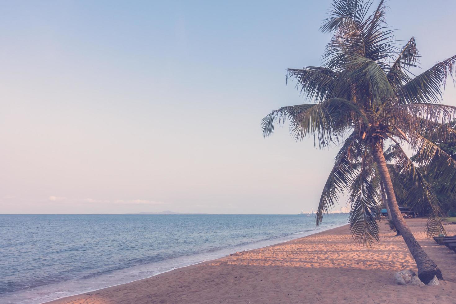albero di cocco sulla spiaggia foto
