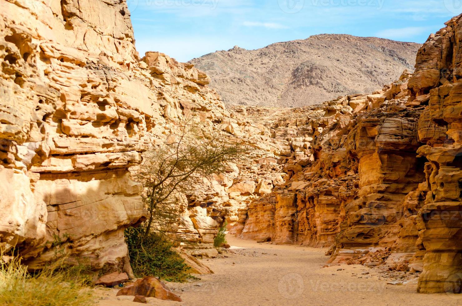 valle in un canyon foto