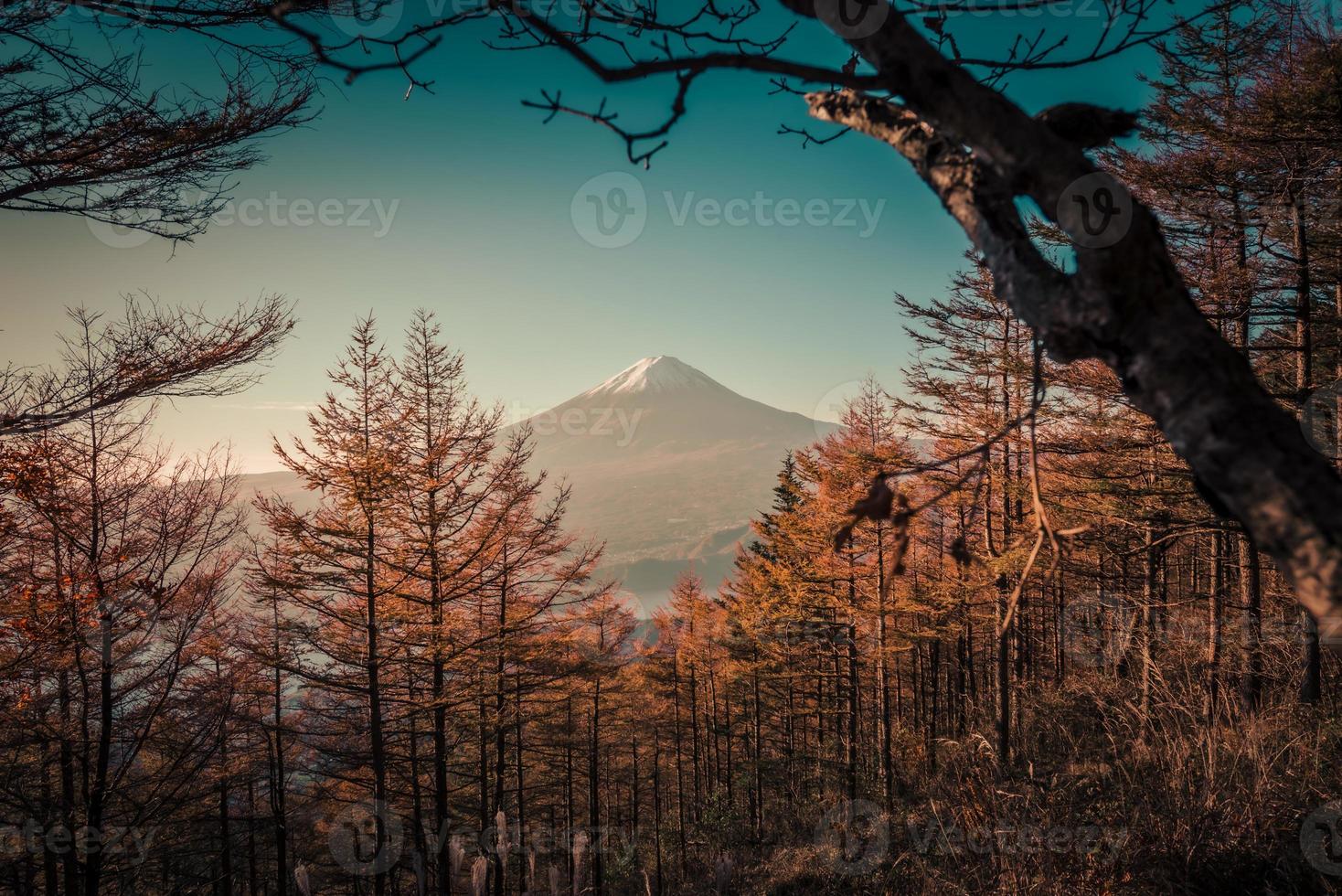 mt. fuji al di sopra di lago Kawaguchiko con autunno fogliame a Alba nel Fujikawaguchiko, Giappone. foto