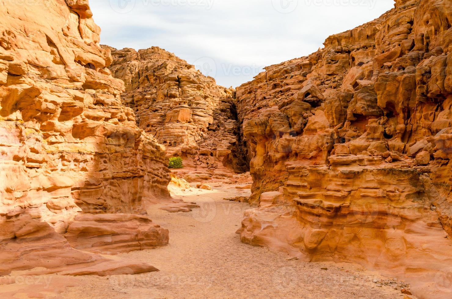 canyon in un deserto foto