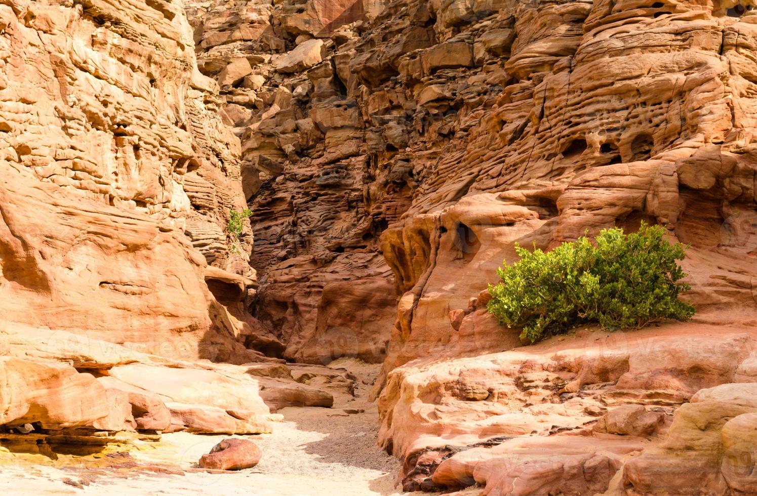 deserto roccioso egiziano foto