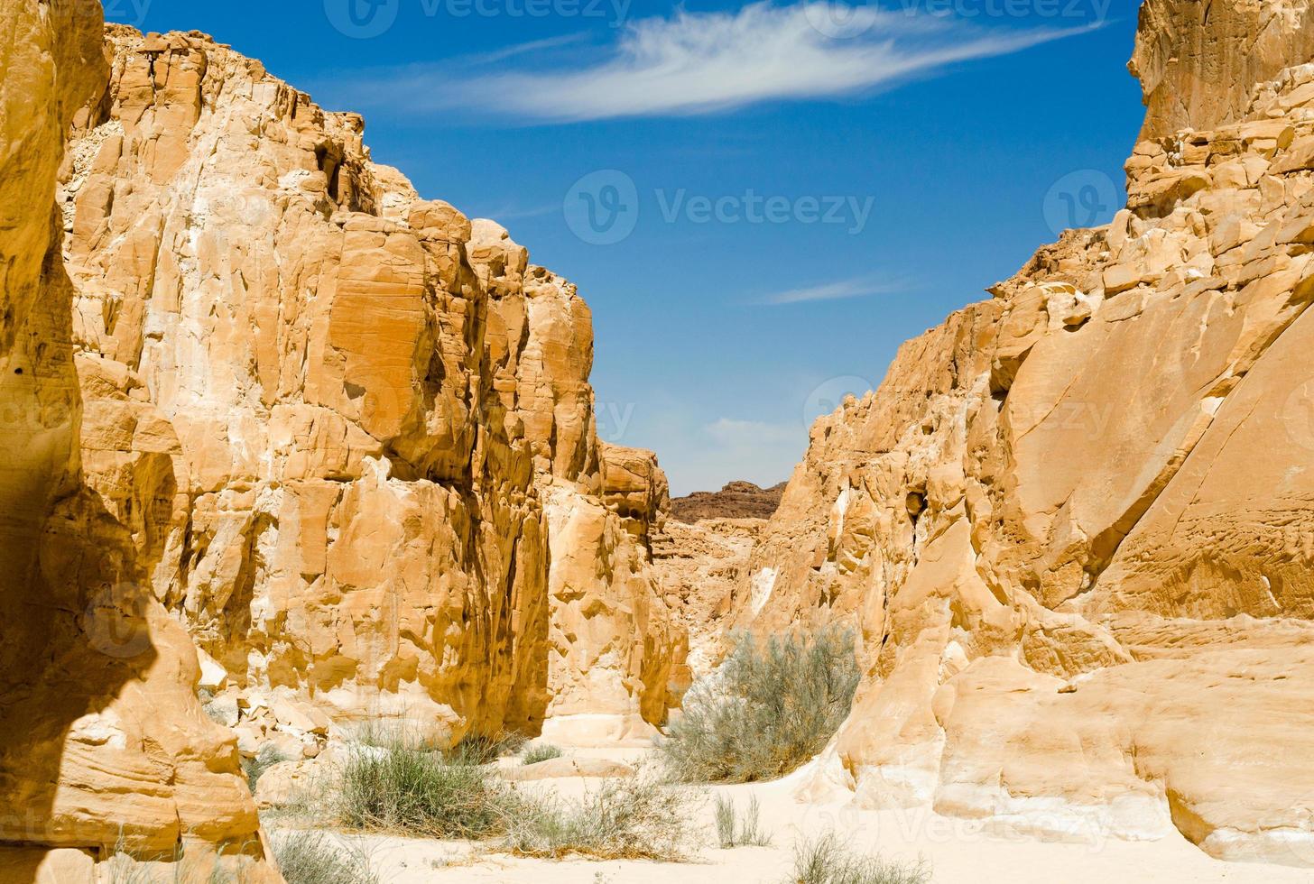 valle in un canyon roccioso foto