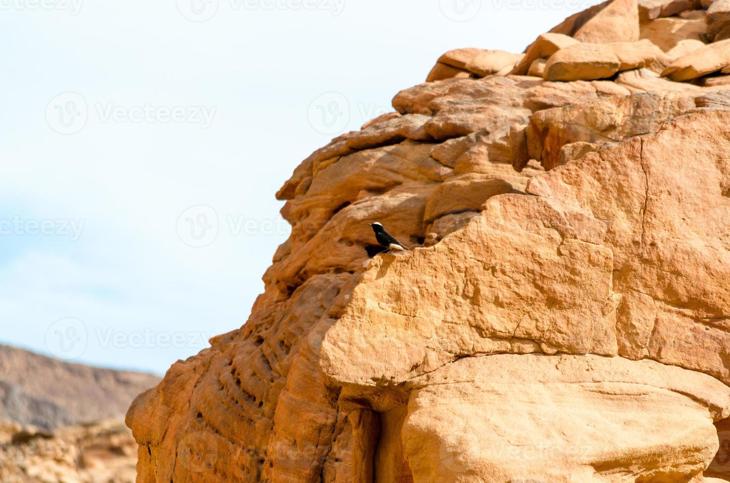 primo piano di rocce con cielo blu foto