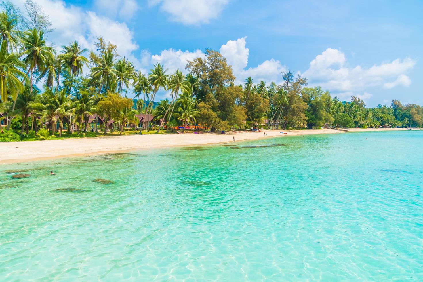 bellissima spiaggia tropicale e mare foto