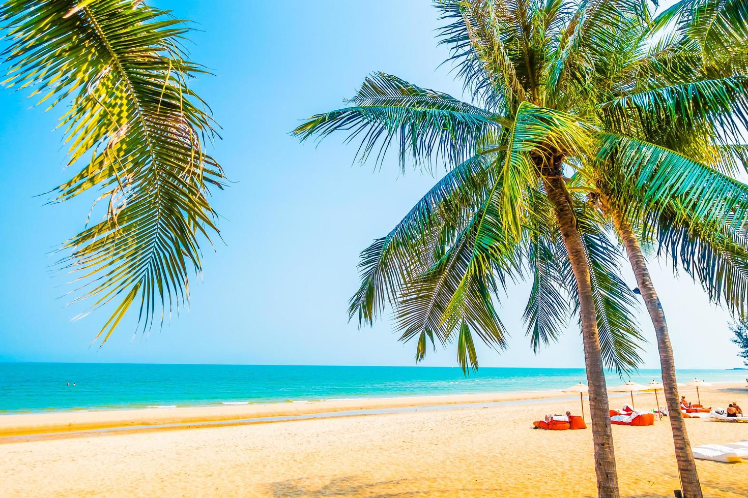 bellissima palma sulla spiaggia foto