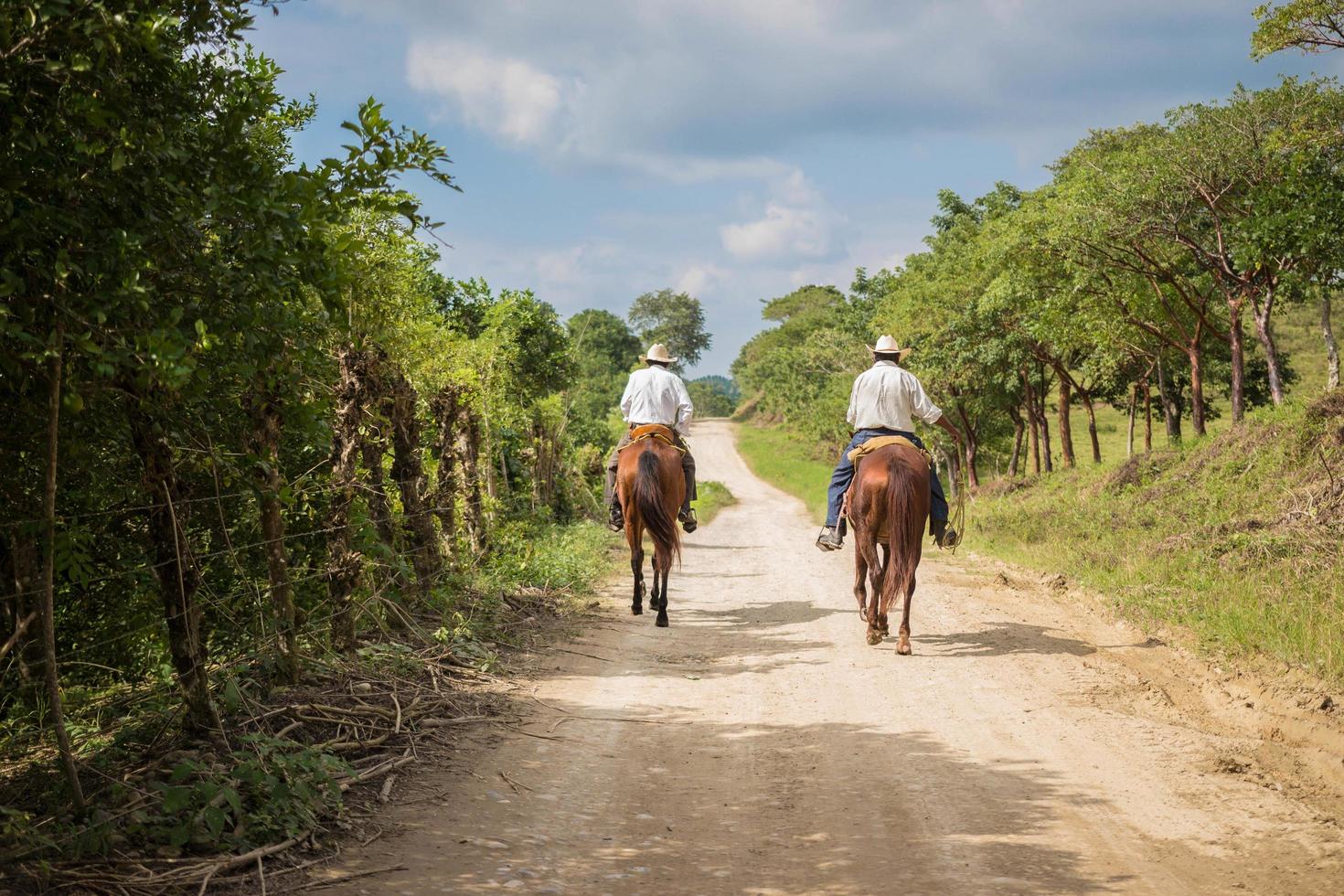 2016- due cowboy che guidano sulla strada foto