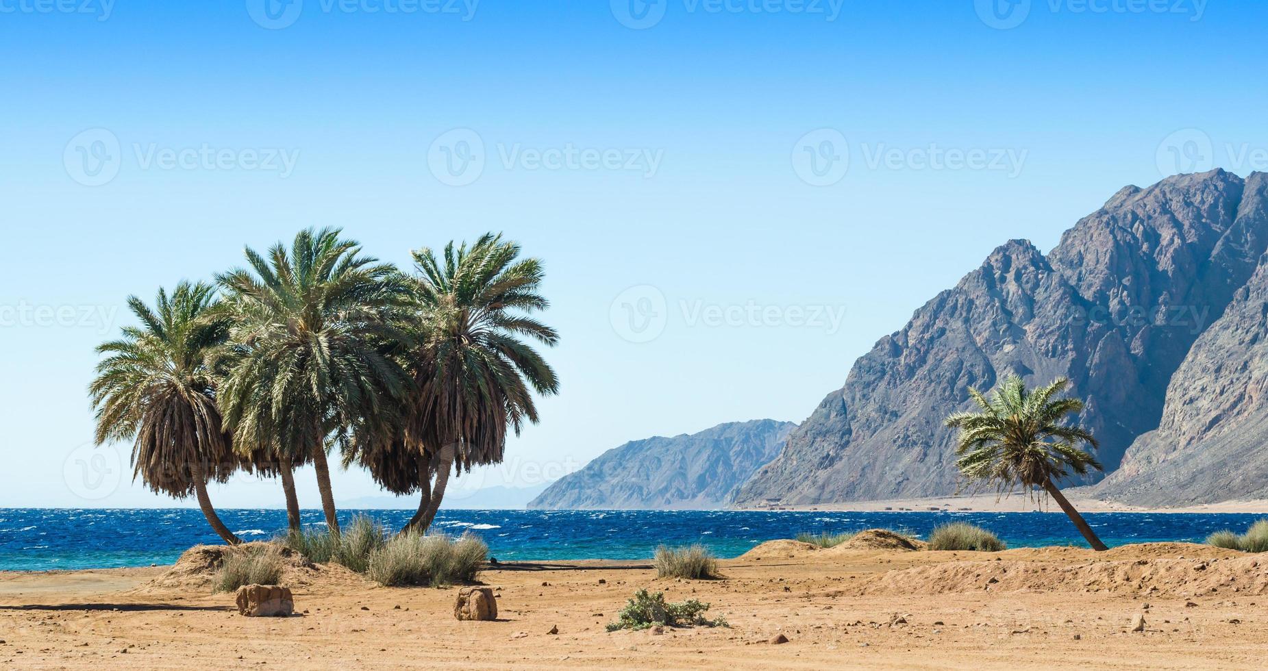 palme e montagne su una spiaggia foto