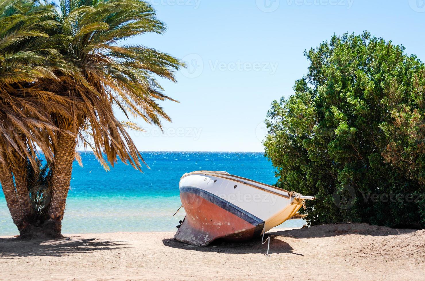 vecchio yacht nella sabbia tra le piante foto