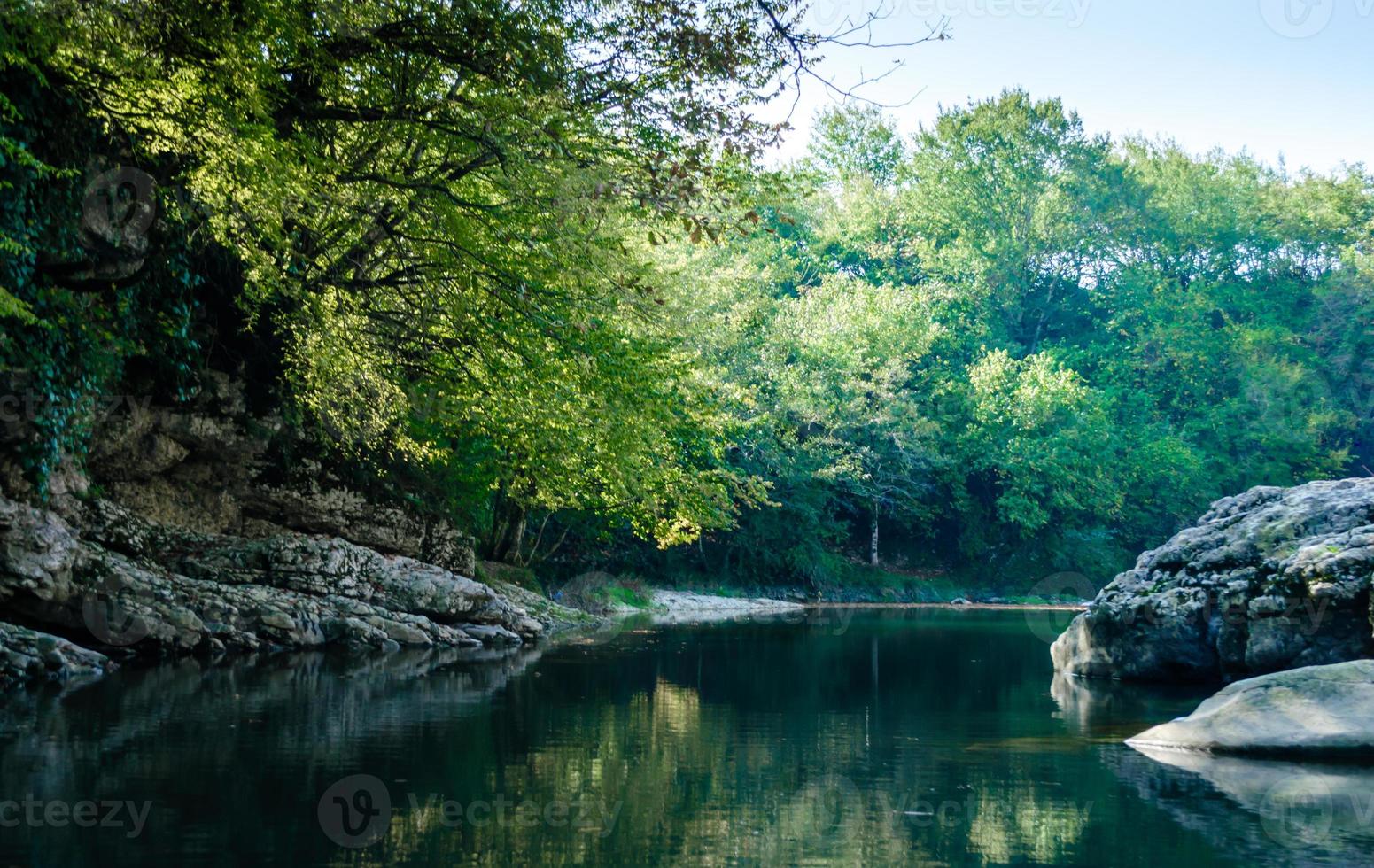 costa rocciosa in una foresta foto