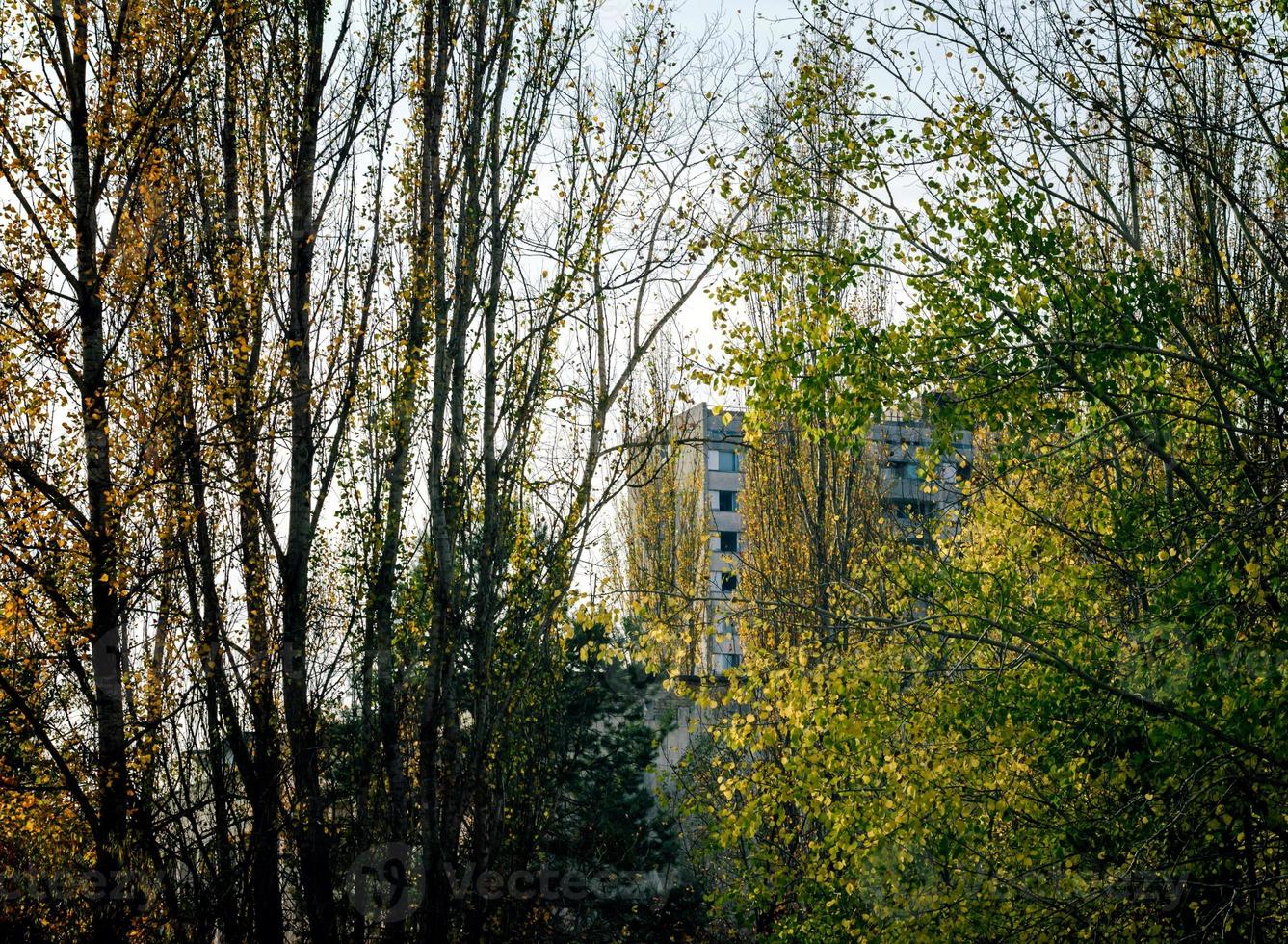 edificio dietro gli alberi foto