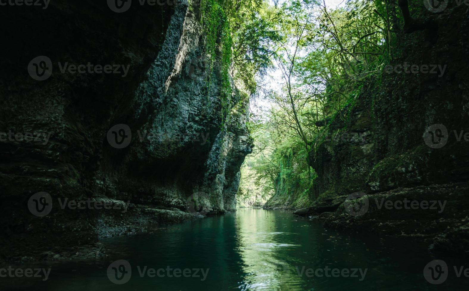 ruscello scuro in una foresta foto