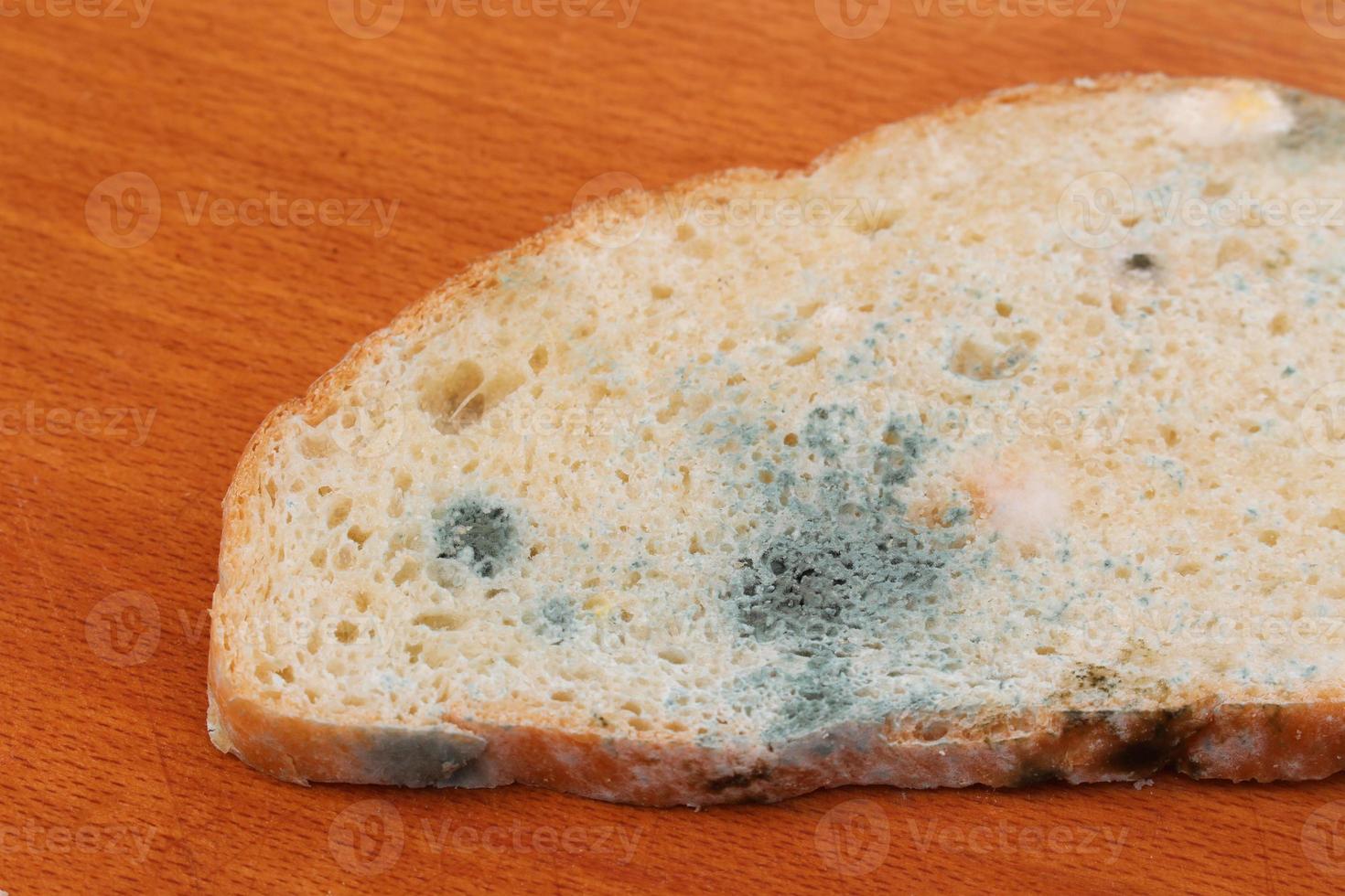 il vecchio bianca muffa su il pane. viziato cibo. muffa su cibo. foto