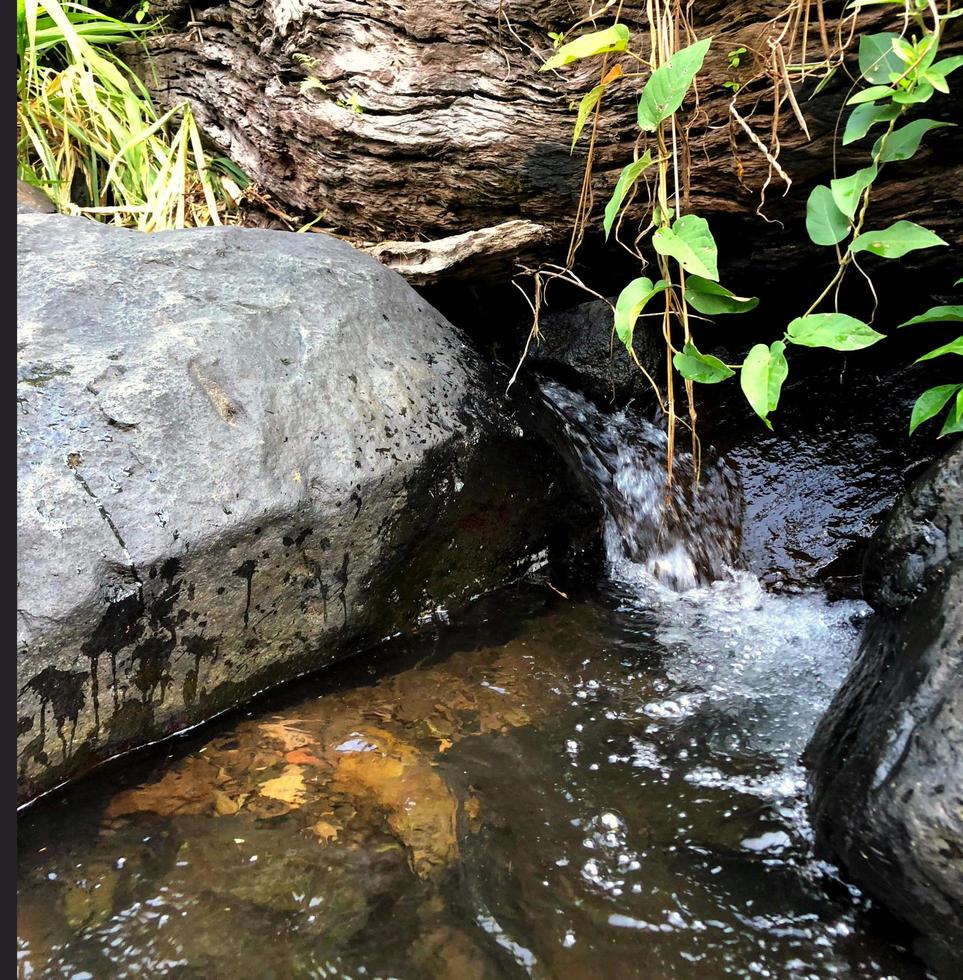 vicino su piccolo acqua ruscello nel il fiume foto