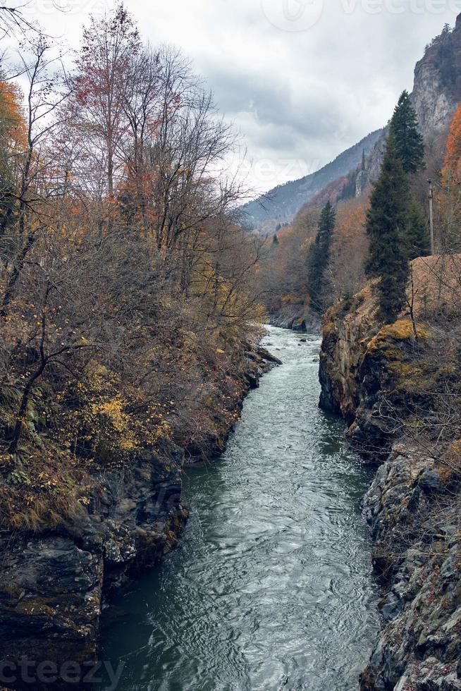 fiume fra montagne autunno foresta viaggio fresco aria foto