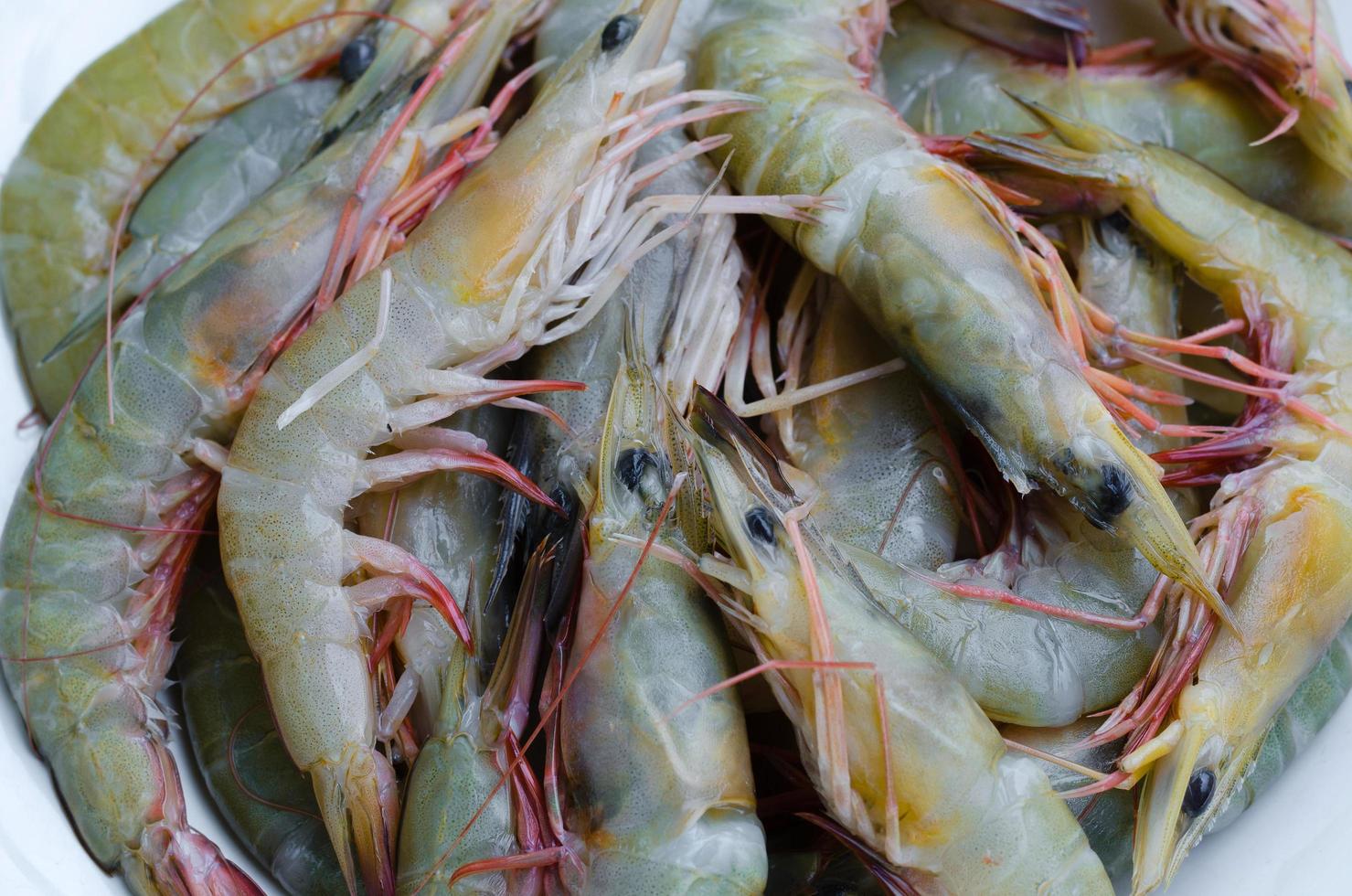 fresco gamberetti per frutti di mare cucinando foto