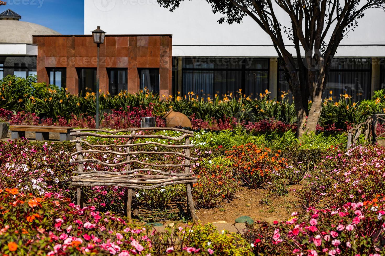 un' di legno panchina tra un' giardino di fioritura fiori su Madera foto