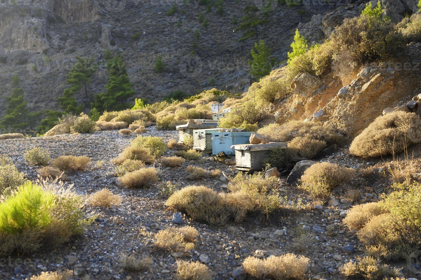 alveari in una zona montuosa al crepuscolo foto