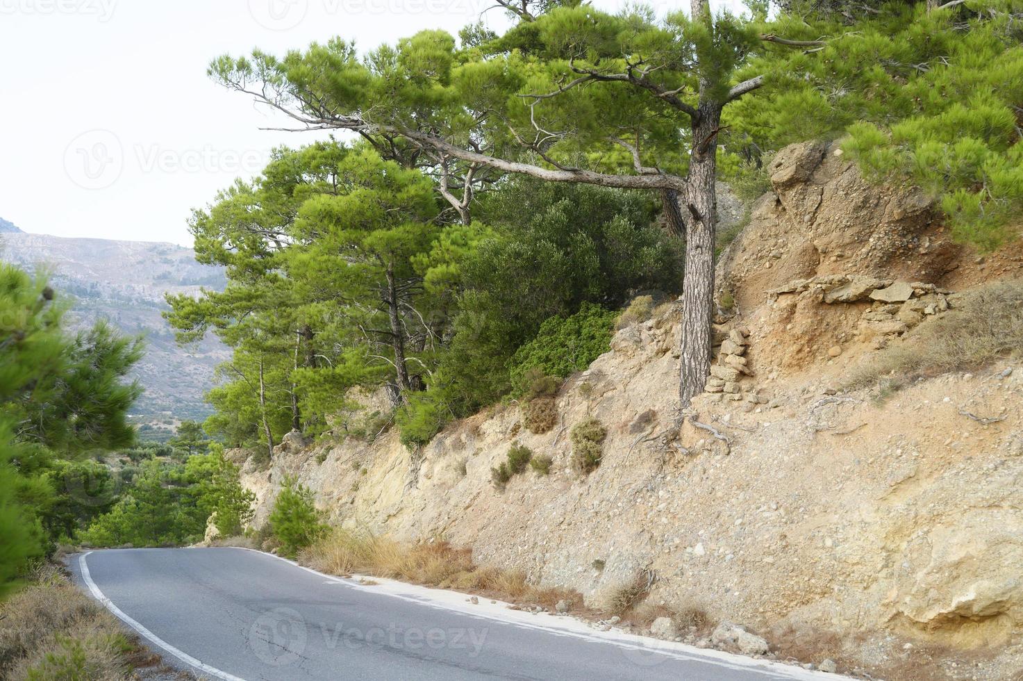 strada asfaltata nelle montagne mediterranee ricoperte di alberi di pino foto