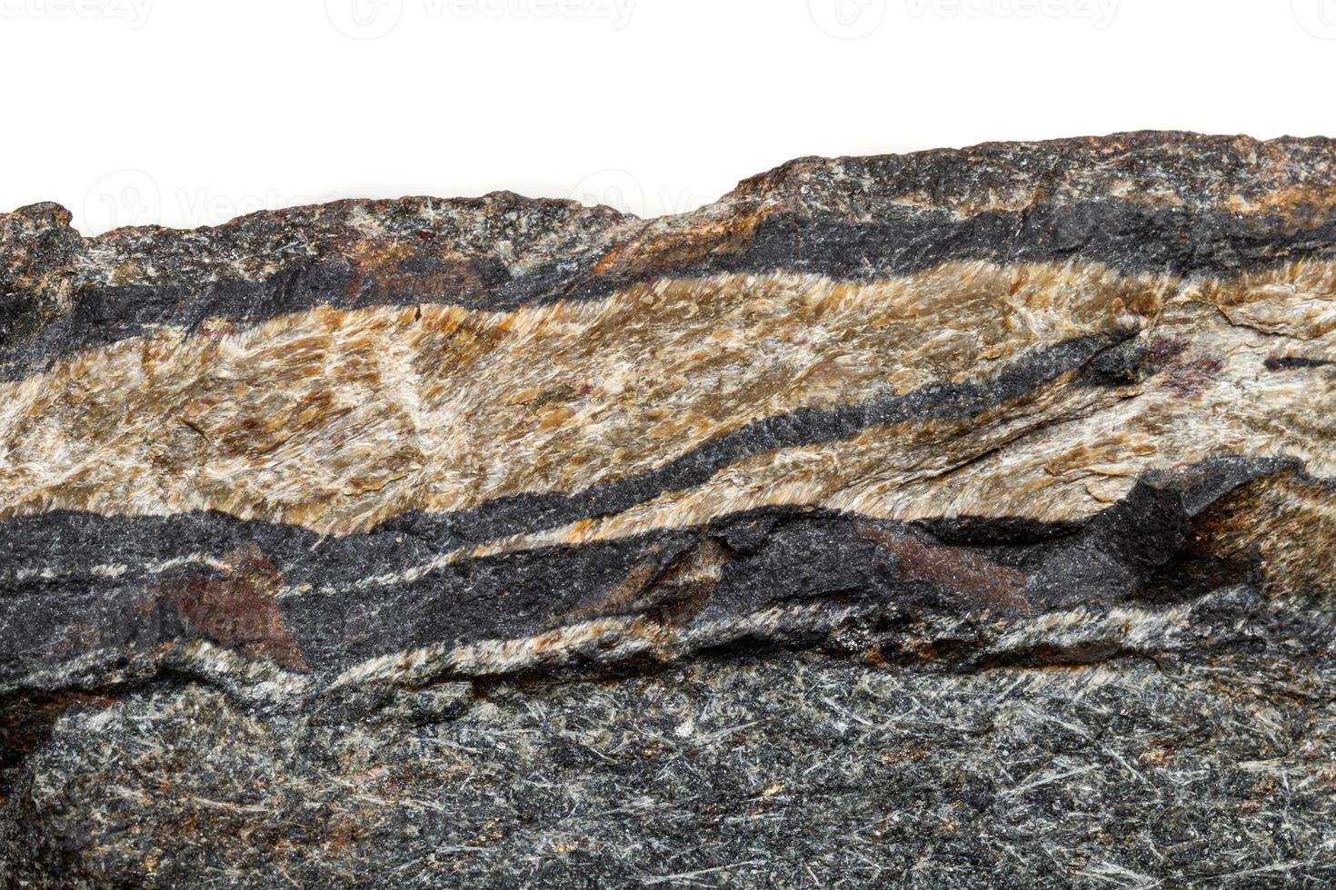 macro minerale pietra serpente occhio nel il roccia un' bianca sfondo foto