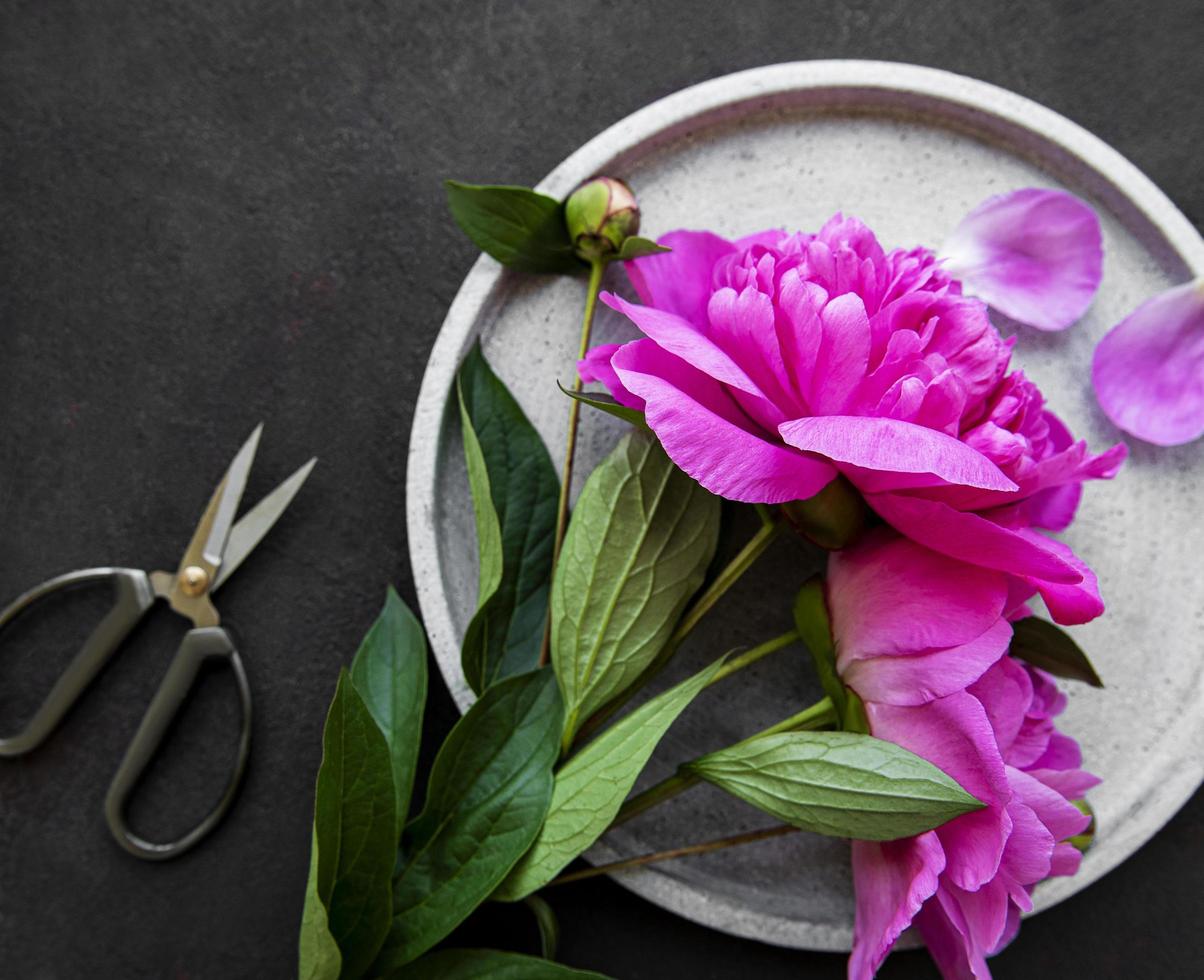 fiori di peonia su uno sfondo di cemento nero foto