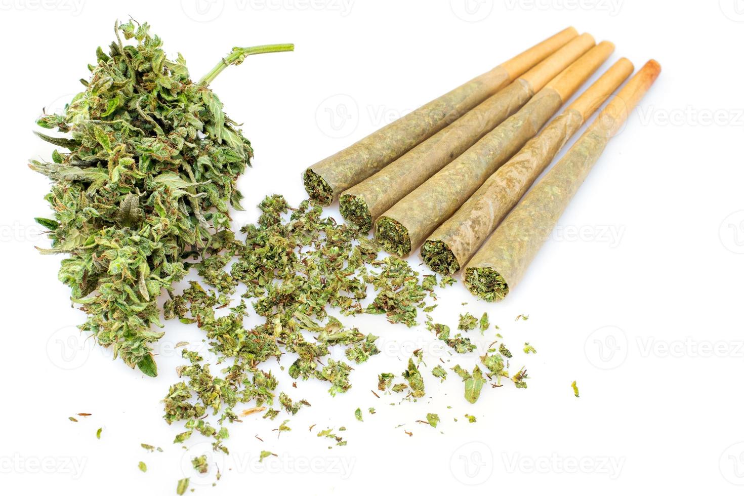marijuana comune pre-arrotolato cono carta su bianca sfondo, rotolo carta canapa foto