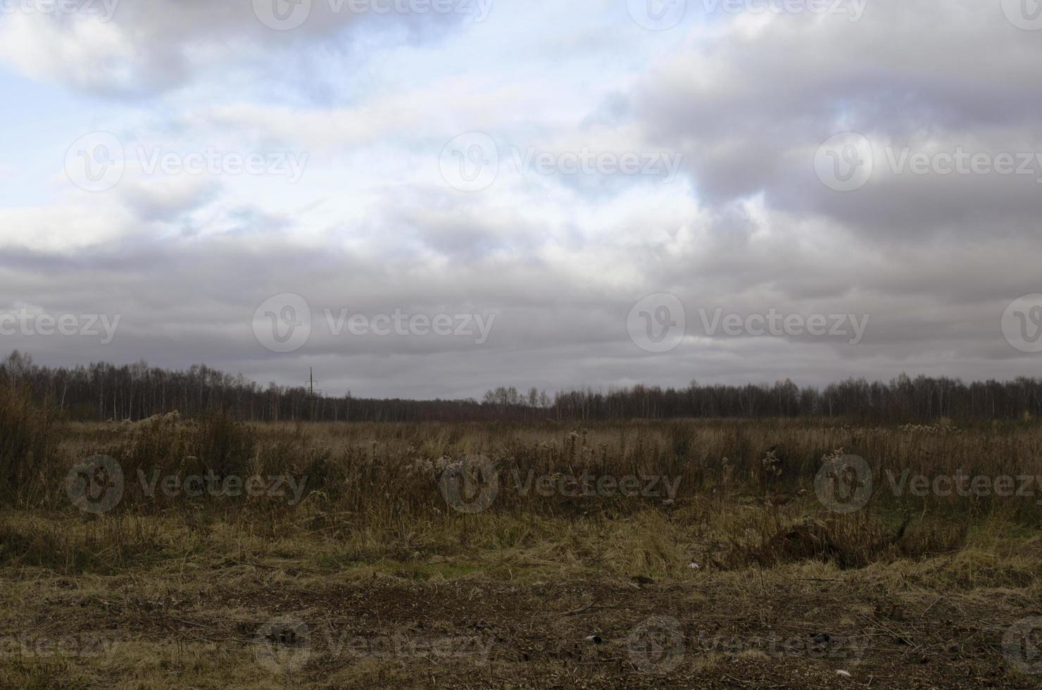 panoramico paesaggio sfondo. campo dopo tempesta. buio nuvole e luminosa blu cielo. foresta silhouette su orizzonte. alto asciutto erba. freddo tempo atmosferico. foto