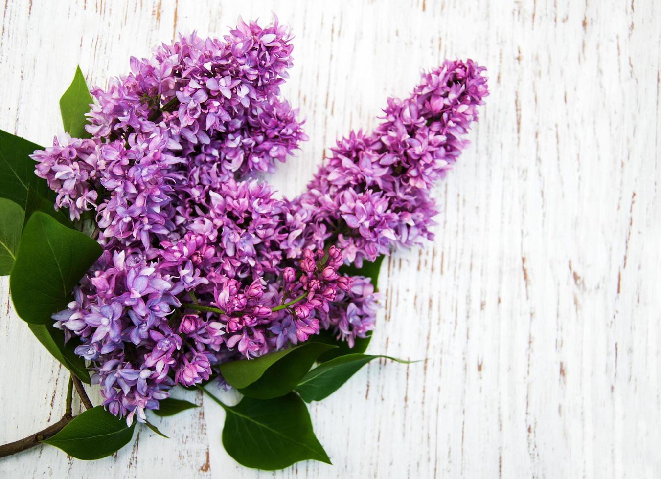 fiori lilla su un vecchio sfondo di legno foto