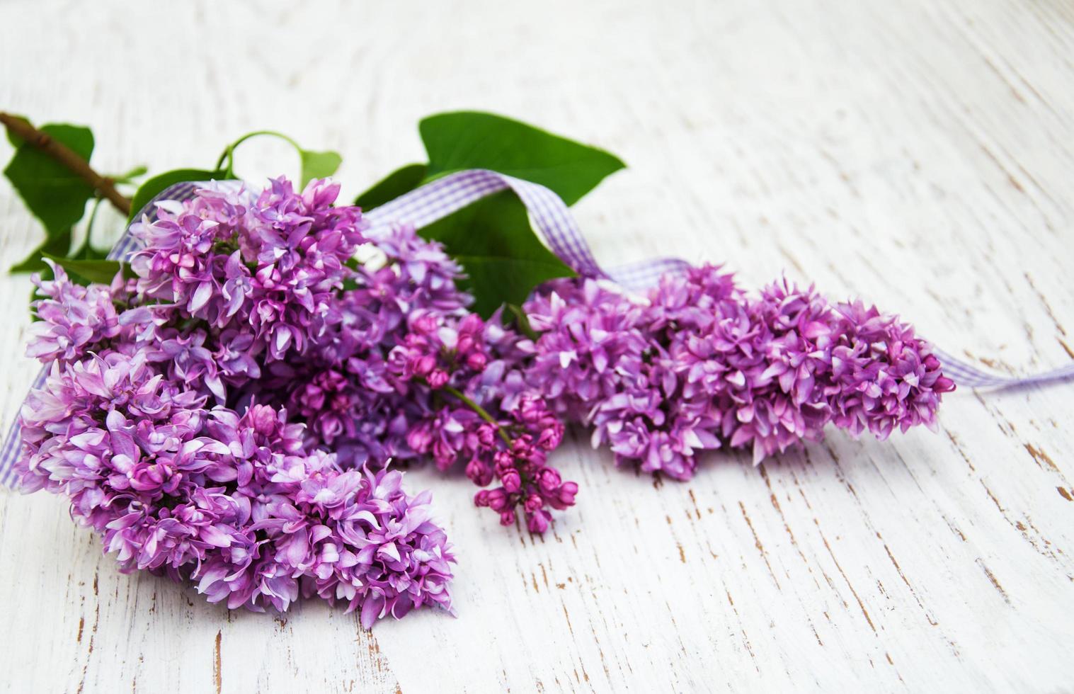 fiori lilla su un vecchio sfondo di legno foto