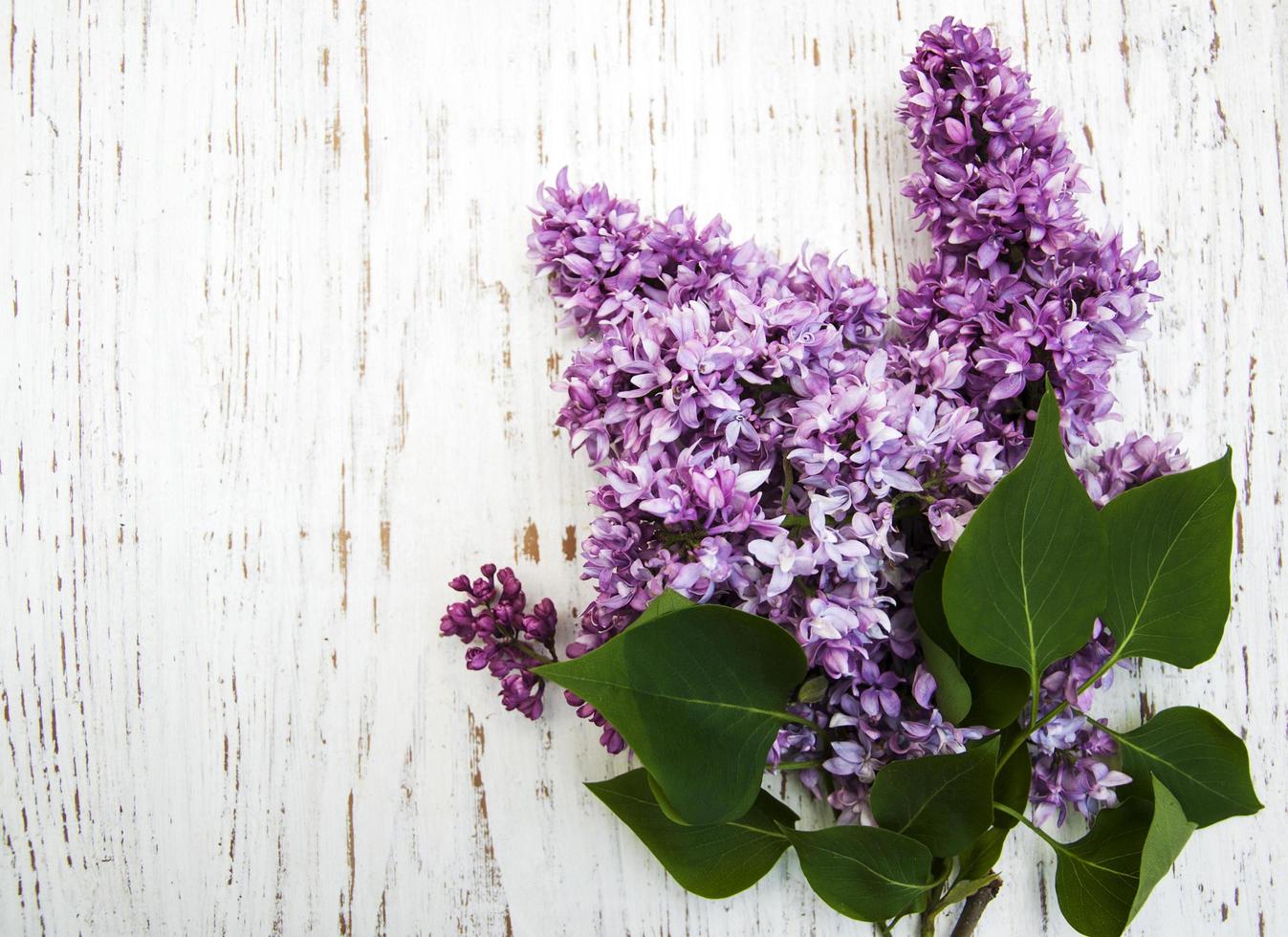 fiori lilla su un vecchio sfondo di legno foto