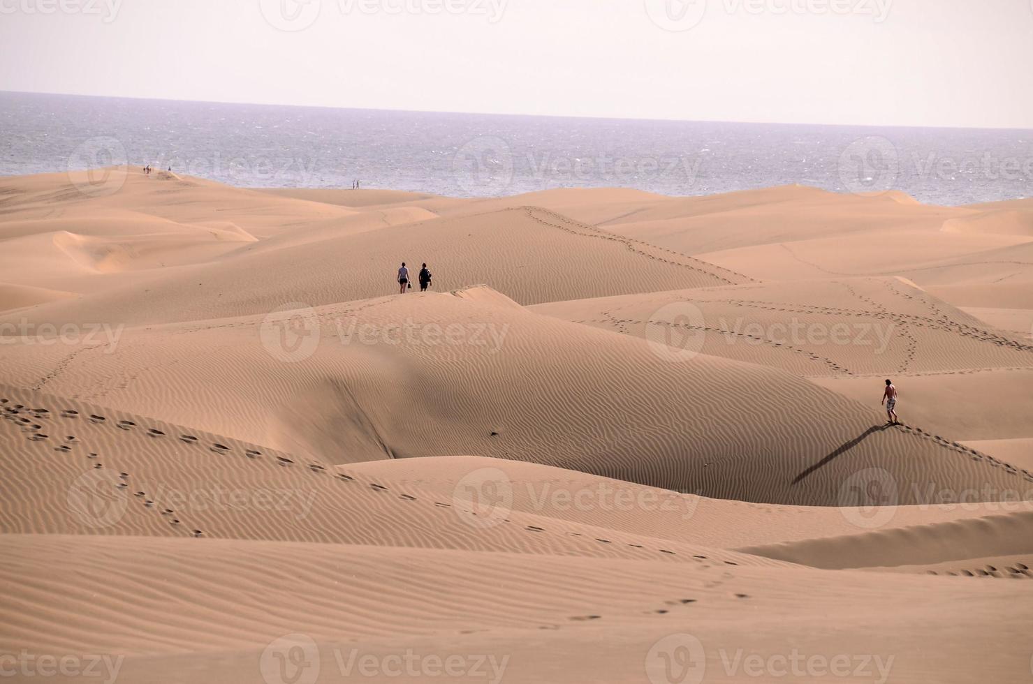 Visualizza di il deserto foto