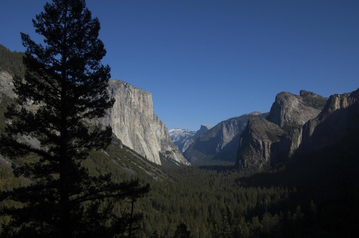 guardando attraverso la Yosemite Valley foto