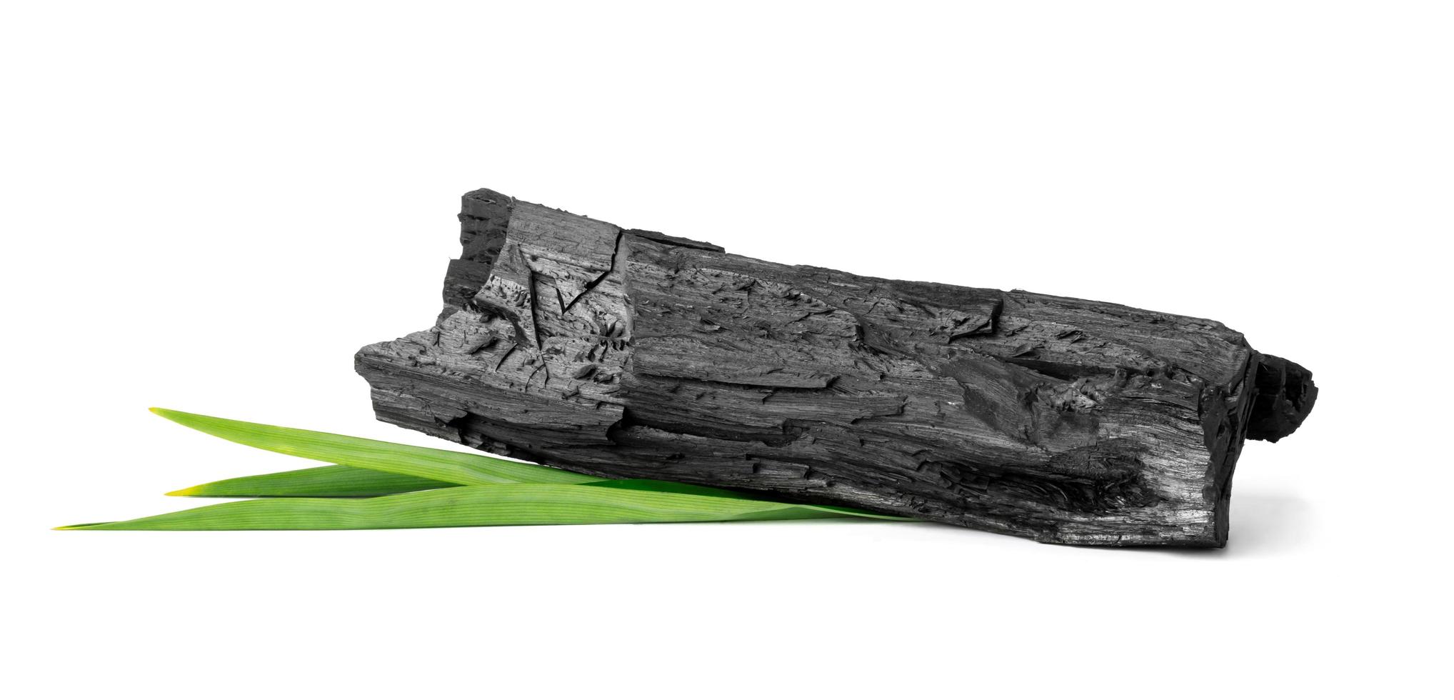 legna naturale carbone con pandan foglia isolato su bianca sfondo foto