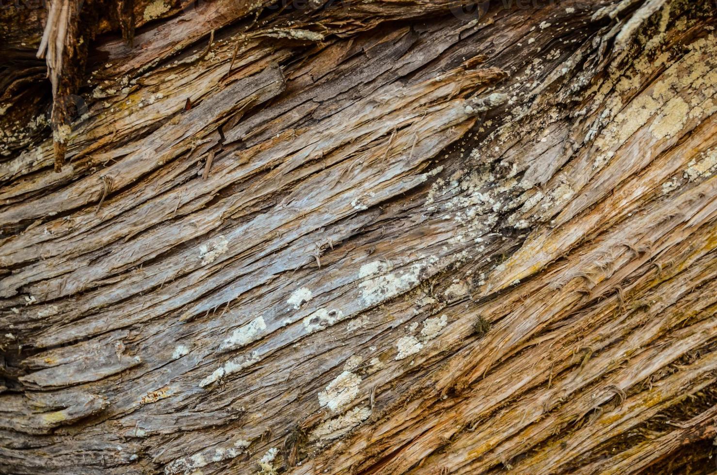 struttura in legno da vicino foto