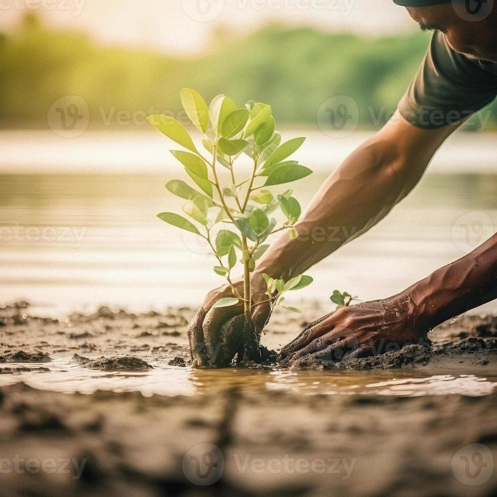 ripristino il costa Comunità Fidanzamento nel piantare mangrovie per ambiente conservazione e habitat restauro su terra giorno, promozione sostenibilità. terra giorno foto