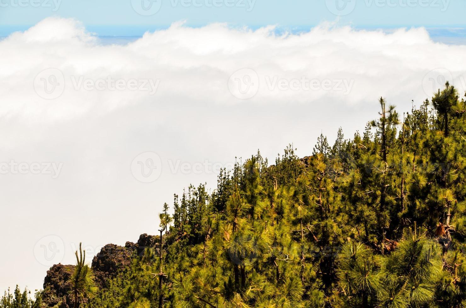 paesaggio montano scenico foto