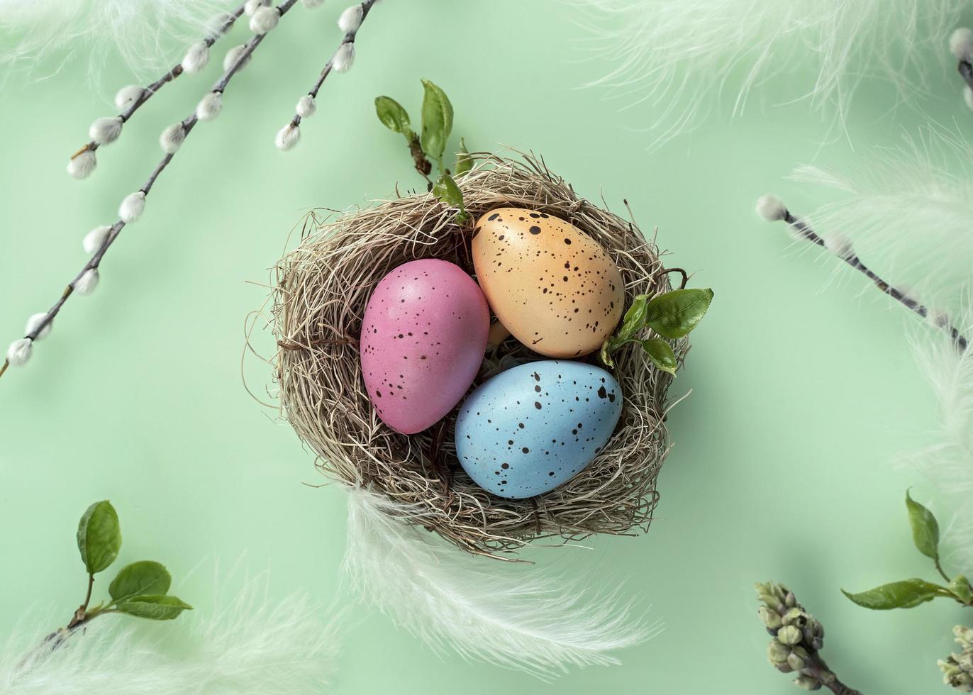 sfondo di Pasqua con salice, uova dipinte nel nido. Pasqua ortodossa, domenica del salice foto