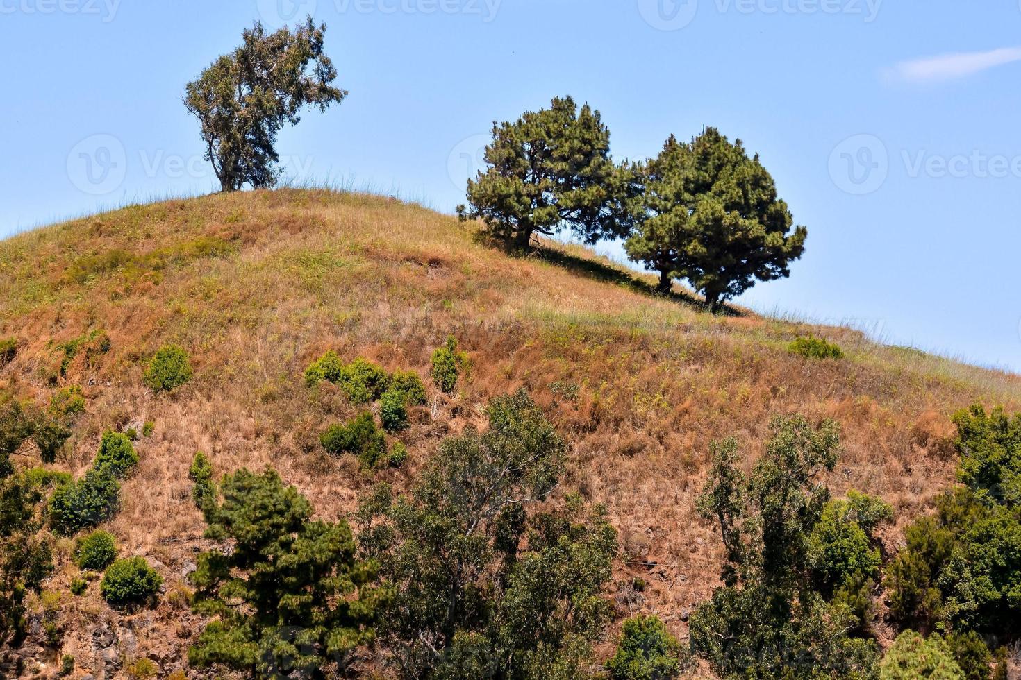 panoramico rurale paesaggio foto