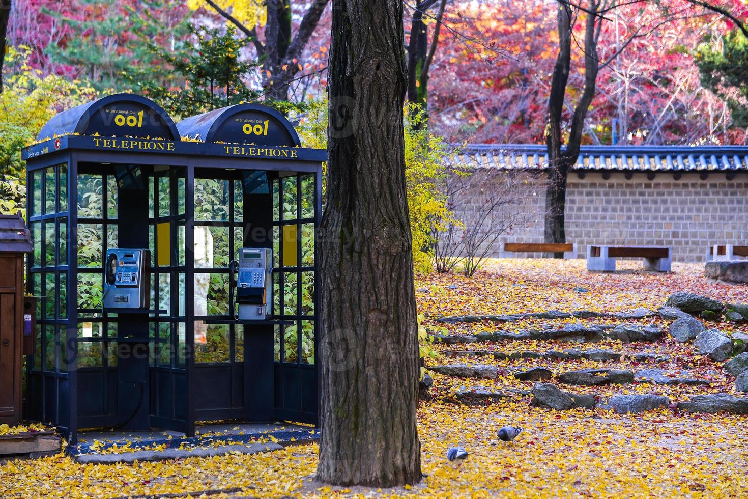 il telefono cabina nel il fiore giardino nel autunno foto