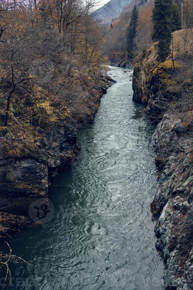 montagne autunno foresta fiume paesaggio natura viaggio foto