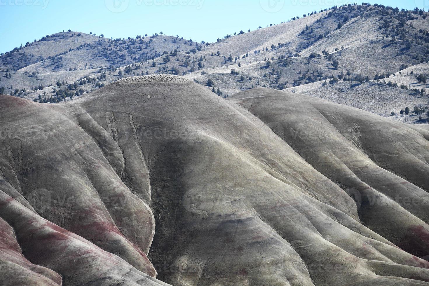 il dipinto colline nel Wheeler contea, Oregon foto